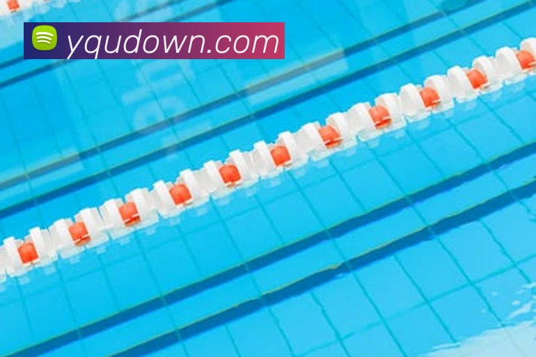 开云体育官网服务体系